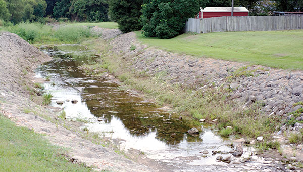 DAILY LEADER / KATIE WILLIAMSON / The growth and stagnant water in the ditch near the Halbert Heights neighborhood is an ongoing issue for local residents.