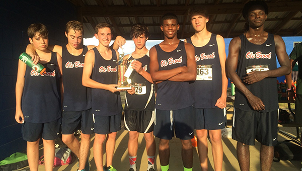 DAILY LEADER / Photo Submitted / SECOND PLACE FINISH - The Brookhaven Panthers capture second place in Thursday's Ole Brook Cross-Country meet. Members of the team are (from left) Andrew Knott, ninth grade; Cody Farris, 10th grade; Caleb McCreary, ninth grade; Tyler Mixon, ninth grade (also third overall boys varsity); Tajah Black 11th grade; Mason Gardner, 10th grade; and Christian Jones, 12th grade. Not pictured are Will Moak, ninth grade, and John Le, 12th grade.