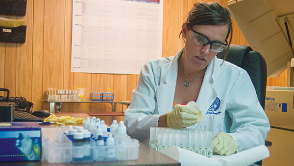 Photo by Nathaniel Weathersby Field Officer Supervisor Pam Weber preps for drug testing by loading reagents into vials used to calibrate the urine-testing machine. Weber was assigned to the Drug Court by the Mississippi Department of Corrections.