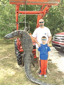 Photo submitted Joseph Durr and his son, Brady Michael Durr, show off the prize alligator.