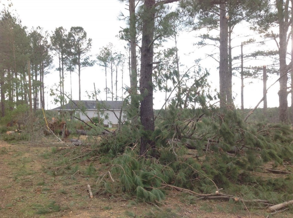 NWS EF1 tornado hit west of Bogue Chitto Daily Leader Daily Leader
