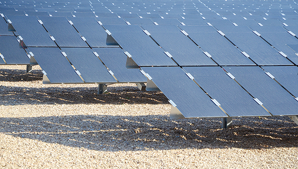 Photo by Luke Horton / Brookhaven is just one of three locations where Entergy Mississippi will be testing out solar panel technology.