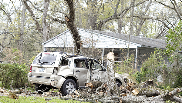 Photo by Julia Miller / A tree limb fell in a Church Street driveway around 11 a.m. on Wednesday totaling the residents’ SUV. The two were backing out of their driveway when the limb fell from a tree in the neighbor’s yard. Neither passenger was injured, only very shaken up.