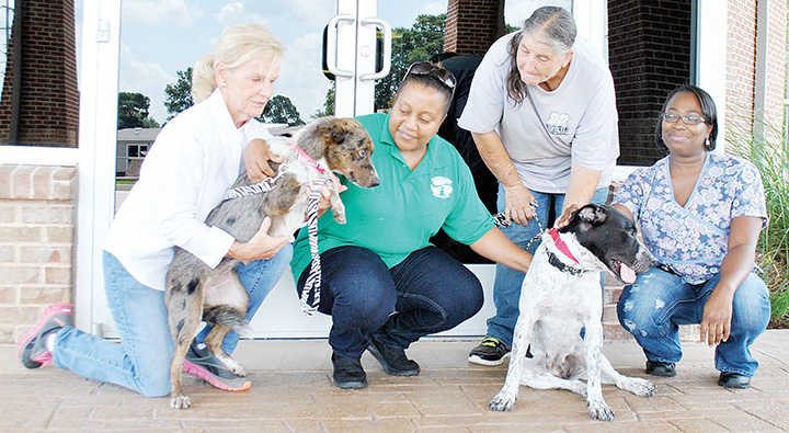 Photo by Aaron Paden/Brookhaven Animal Rescue League President Lu Becker, Florida Care Properties Director Jennifer Almo, BARL Shelter Manager Rita Acy and Florida Care representative Corinthian Wall gather to introduce Tadpole and Nyla to the clients at Florida Care Thursday. One of the dogs will be chosen to stay at the facility.