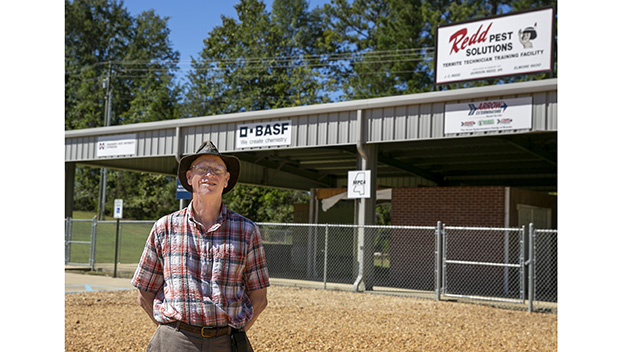 Expensive termites are greatest prevented, not handled – Every day Chief
